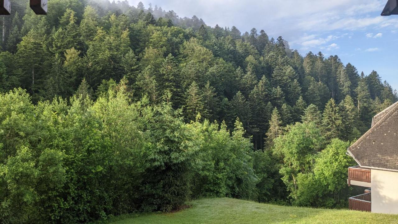 Sonnenstrahl Appartement Todtmoos Buitenkant foto